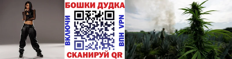 Канабис гибрид  где купить наркоту  Нелидово 